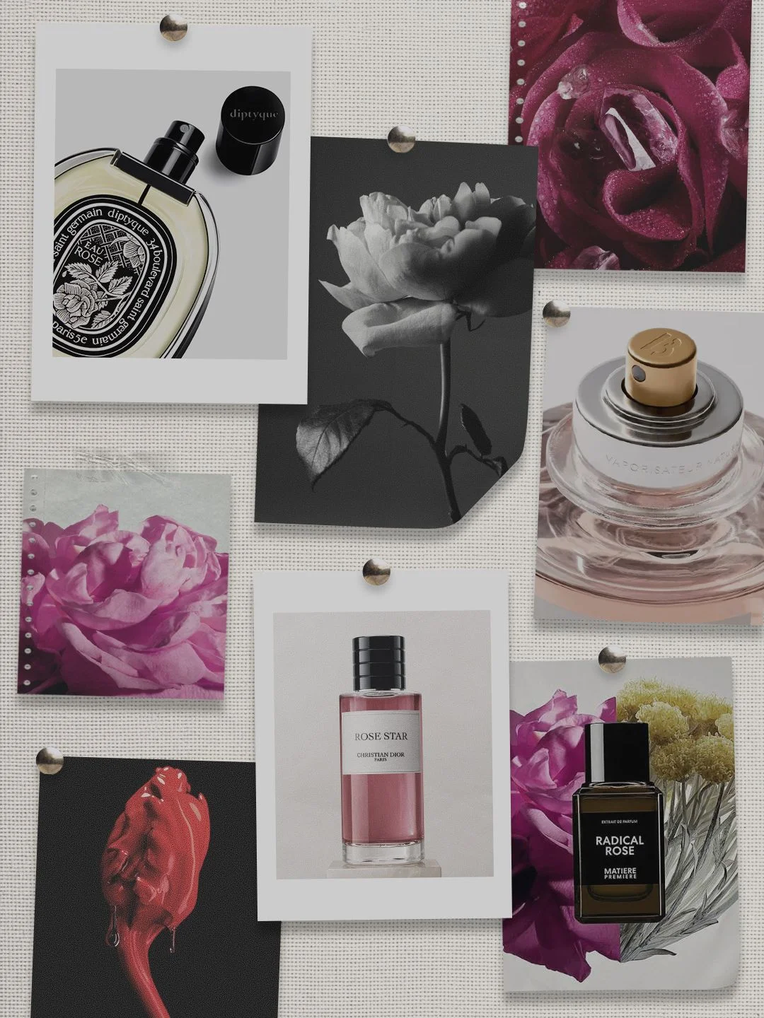 Exploring the Versatility of Rose in Modern Fragrance Design